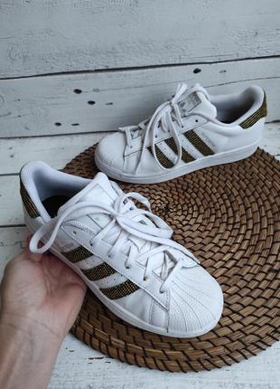 Кожаные кроссовки оригинал adidas superstar 36-37p