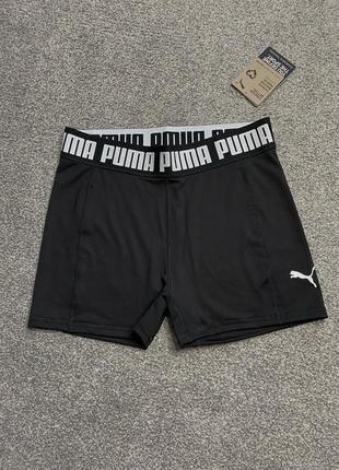 Спортивные шорты puma