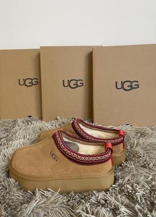 Ugg tazz platform преміум якість трендові угги уггі1 фото