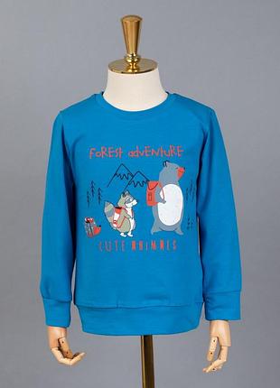 Свитшот для мальчиков