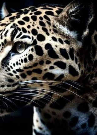 Шуба з природного хутра фасон халат з поясом ягуар леопард принт10 фото