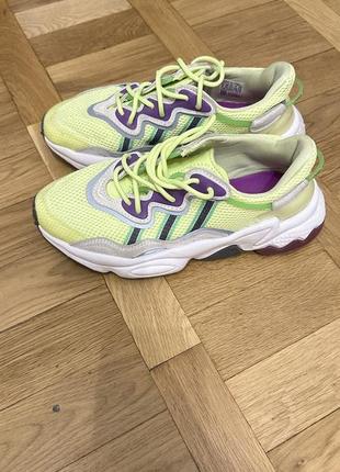 Кросівки adidas