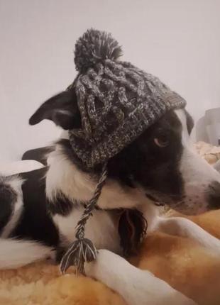 Тепла зимова шапка для собак шапочка6 фото