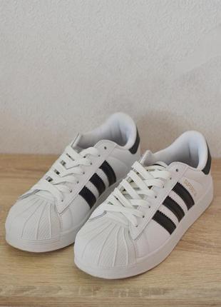 Кеды superstar adidas