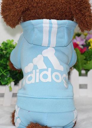Спортивный костюм для собак pet style "adidog" голубой