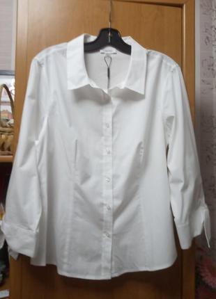 Блузка calvin Blue оригінал