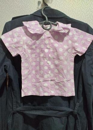 Блуза, рубашка, х/б.(2576)