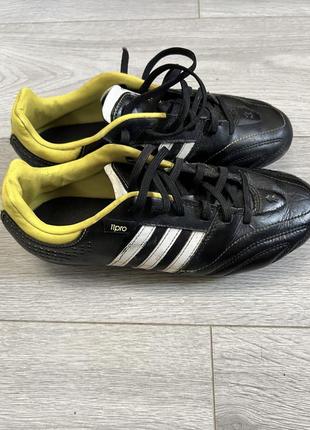 Продам шкіряні бутси adidas 11 pro3 фото