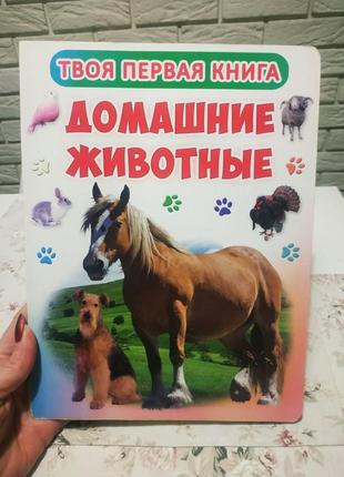 Твоя аервая книга.домашние животные картонная