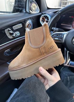 Женские сапоги ugg платформа ugg neumel platform chealsea ginger5 фото