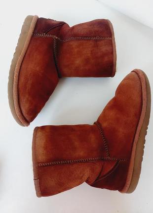 Зимові уггі ugg 35(23см) натуральні зимові черевики ботинки чоботи6 фото