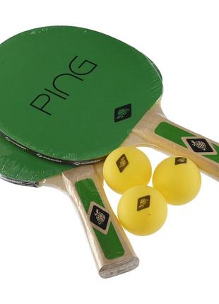 Набор для настольного тенниса 2 ракетки, 3 мяча с чехлом donic mt-788486 ping pong1 фото