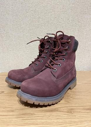 Черевики timberland 6-inch waterproof