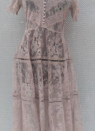Платье кружево lusio, новое 44-467 фото