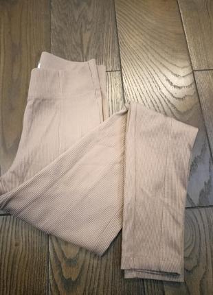 Лосини жіночі