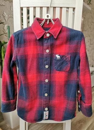 Рубашка abercrombie kids, 3-4 года