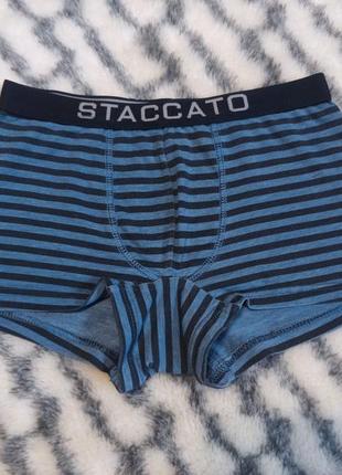 Бавовняні боксерки для хлопчика staccato