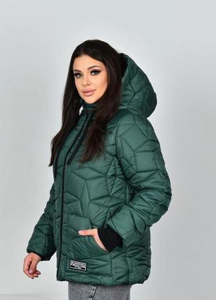 Тепла зимова куртка великі розміри і норма (р.48-58)6 фото