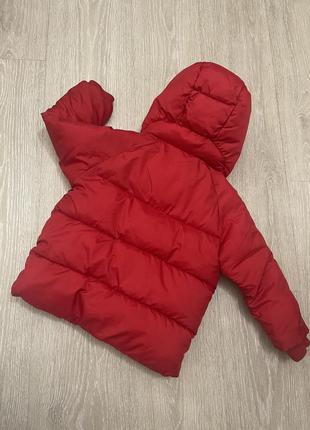 Куртка zara beby 2/3 рочки2 фото