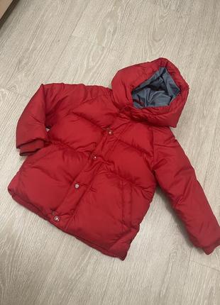 Куртка zara beby 2/3 рочки
