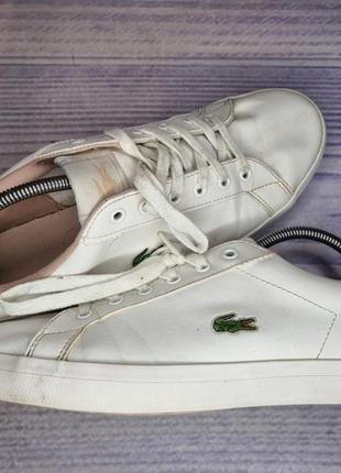 Кеды lacoste