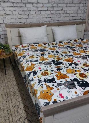 Плед котики 3
