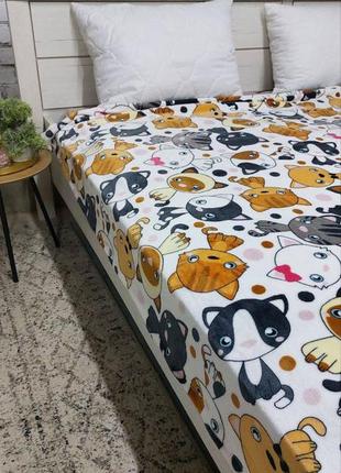 Плед котики