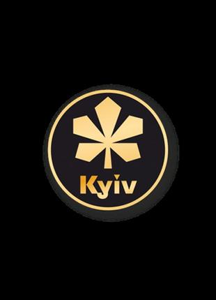 Значок dobroznak достопримечательности киева "каштан", черный (4635)
