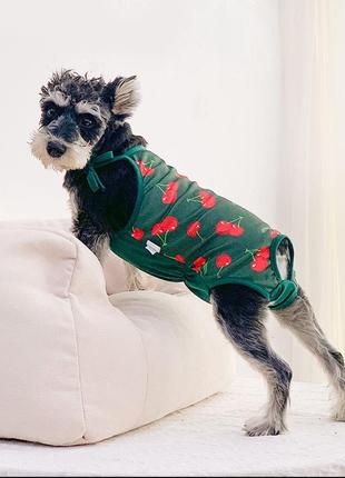 Труси-боді гігієнічні для собак зелений із принтом вишень s