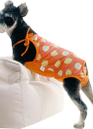 Труси - боді гігієнічні для собак помаранчевий з принтом лимон розмір s