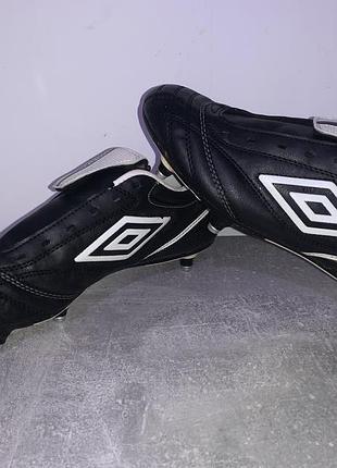Буци umbro