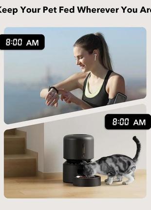 Автоматична годівниця petlibro для кішок, дозатор сухого корму5 фото