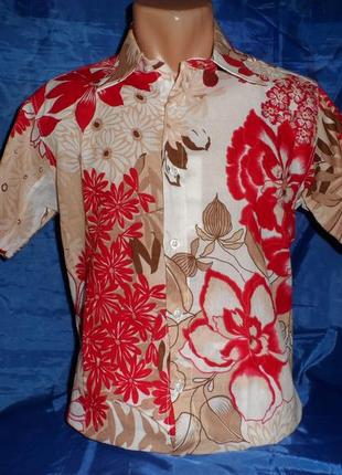 Шведка чоловіча (menform)