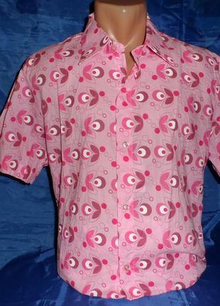 Шведка чоловіча (casino royale)