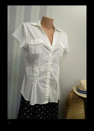 Брендовая рубашка, блуза под пояс короткий рукав, хлопок, mexx2 фото