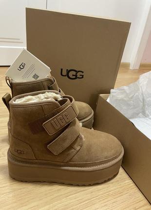 Оригинальный - сапоги ugg (uggs) neumel strap platform boot original2 фото