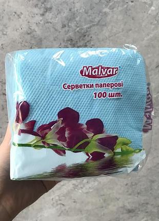 Серветки паперові 100 шт