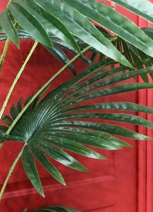 Пальма ливистона искусственная в горшке. комнатное растение. высота: 180 см, размах листьев: 130 см.6 фото