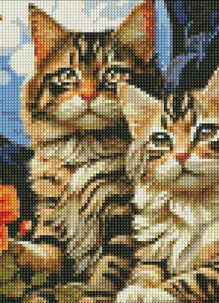 Алмазна мозаїка amo7853 чарівні котики ©art_selena_ua, 30x40см ідейка на підрамнику