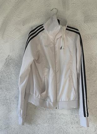 Олимпийка adidas