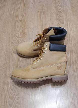 Черевики timberland waterproof2 фото