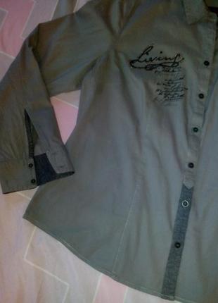 Рубашка- батник коттон - подарок при покупке одной вещи! 2