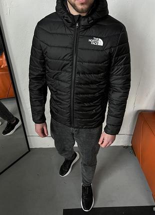 Куртка the north face 2