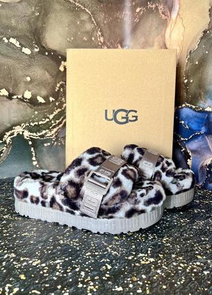 Тапки ugg оригинал