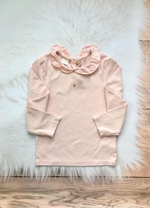 Реглан кофта кофточка