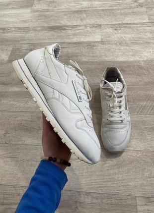 Кроссовки от reebok classic