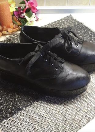 Туфлі черевики