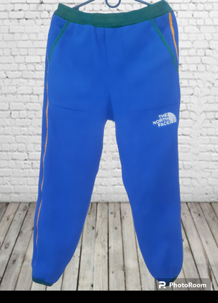 Штани флісові The North Face