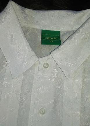 Блуза белая canda5 фото