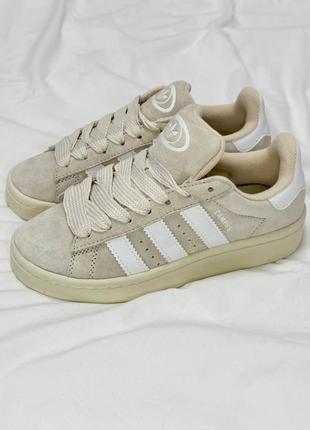 Adidas campus beige